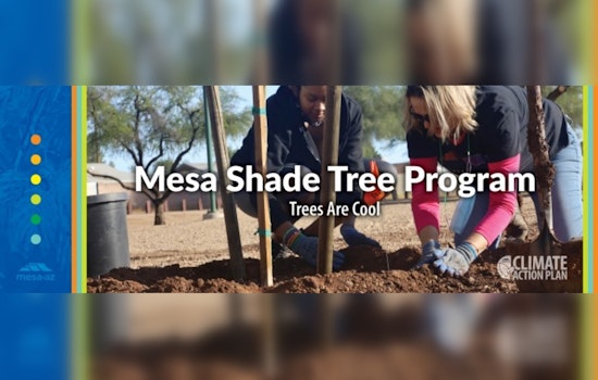 Mesa Residents Offered Free Shade Trees to Boost Energy Savings at Upcoming Workshop