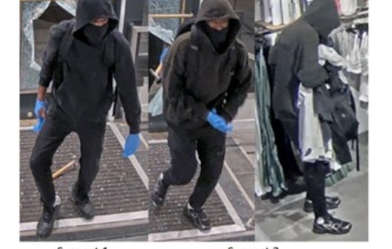Metropolitan Police Seek Public Assistance to Identify Suspects in F Street Business Burglary