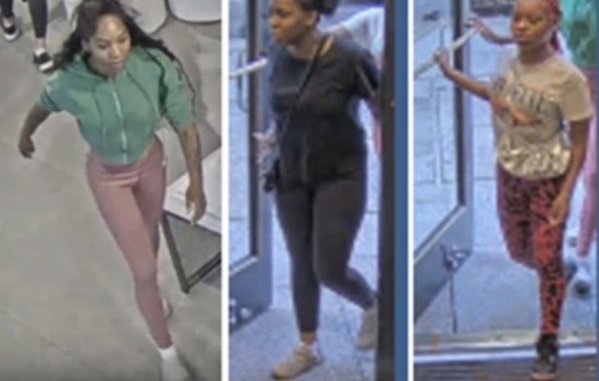 Metropolitan Police Seek Public's Aid to Identify Suspects in Northwest Washington, D.C. Retail Theft