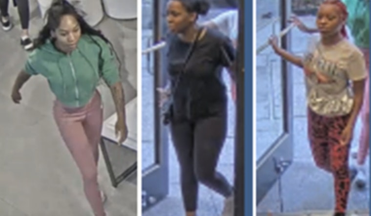 Metropolitan Police Seek Public's Aid to Identify Suspects in Northwest Washington, D.C. Retail Theft