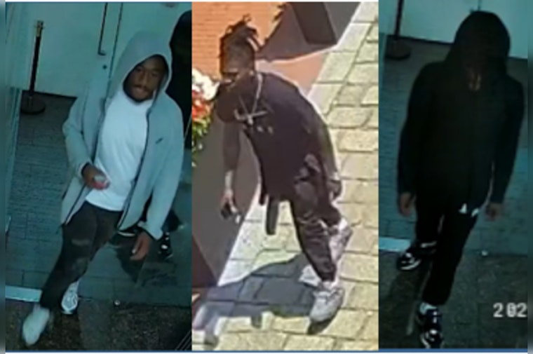 Metropolitan Police Seek Public's Help to Identify Suspects in High-Stakes Daylight Theft in Cady's Alley, Washington D.C.