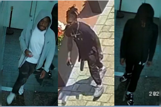 Metropolitan Police Seek Public's Help to Identify Suspects in High-Stakes Daylight Theft in Cady's Alley, Washington D.C.