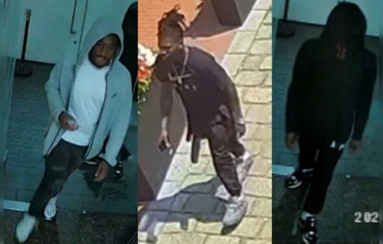Metropolitan Police Seek Public's Help to Identify Suspects in High-Stakes Daylight Theft in Cady's Alley, Washington D.C.