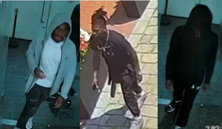 Metropolitan Police Seek Public's Help to Identify Suspects in High-Stakes Daylight Theft in Cady's Alley, Washington D.C.