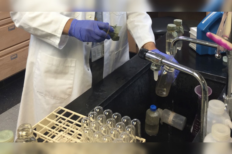 Miami-Dade County Announces Temporary Tap Water Taste and Smell Change Due to Treatment Adjustment
