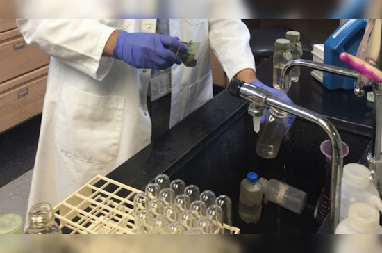 Miami-Dade County Announces Temporary Tap Water Taste and Smell Change Due to Treatment Adjustment