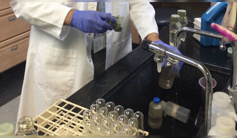 Miami-Dade County Announces Temporary Tap Water Taste and Smell Change Due to Treatment Adjustment