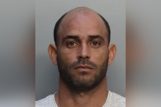Miami-Dade Pet Groomer Charged with Animal Cruelty After Viral Video Captures Dog Kicking Incident