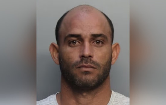 Miami-Dade Pet Groomer Charged with Animal Cruelty After Viral Video Captures Dog Kicking Incident