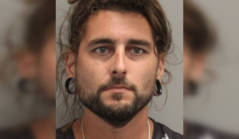Michigan Man Charged With Multiple Drug Offenses at Phish Mondegreen Festival in Dover