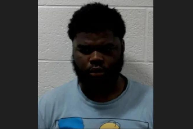 Michigan Teen Charged with First-Degree Murder in Fatal Shooting of Detroit Woman
