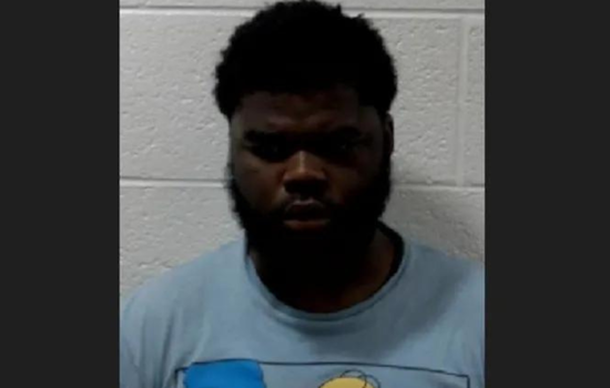 Michigan Teen Charged with First-Degree Murder in Fatal Shooting of Detroit Woman