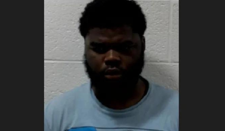 Michigan Teen Charged with First-Degree Murder in Fatal Shooting of Detroit Woman