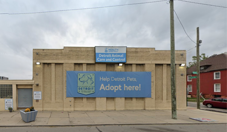 Microchip Leads to Joyful Reunion Between Detroit Family and Lost Dog After Ten Months
