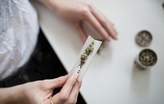 Minneapolis Invites Public to Online Sessions on Cannabis Business Zoning Regulations