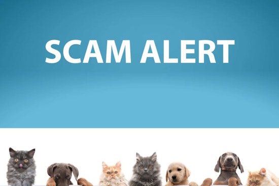 Minneapolis Officials Urge Caution as Pet Scammers Impersonate MACC Officers