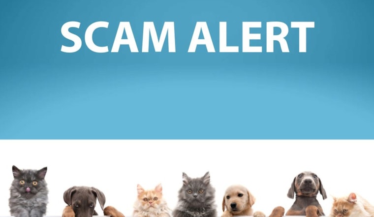 Minneapolis Officials Urge Caution as Pet Scammers Impersonate MACC Officers