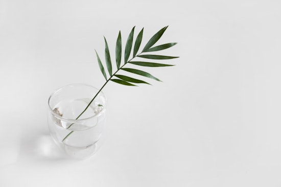 Miracle Molecules from MIT, Breakthrough Synthesis Promises New Pharmaceuticals from Plant Compounds