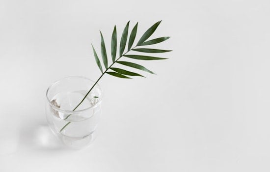 Miracle Molecules from MIT, Breakthrough Synthesis Promises New Pharmaceuticals from Plant Compounds