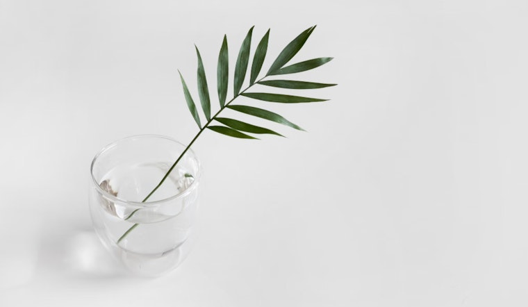 Miracle Molecules from MIT, Breakthrough Synthesis Promises New Pharmaceuticals from Plant Compounds