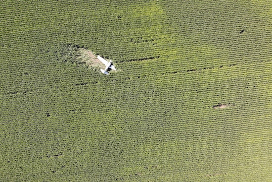 Mooney Aircraft Makes Safe Emergency Landing in Calhoun Cornfield, FAA Investigates Engine Failure