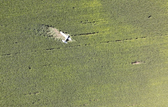 Mooney Aircraft Makes Safe Emergency Landing in Calhoun Cornfield, FAA Investigates Engine Failure