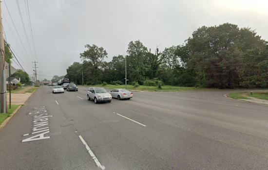 MPD Discovers Human Remains During Unrelated Probe in South Memphis