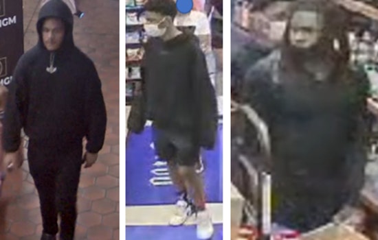 MPD Seeks Public’s Help to Identify Suspects in Southeast Retail Theft on New Jersey Ave