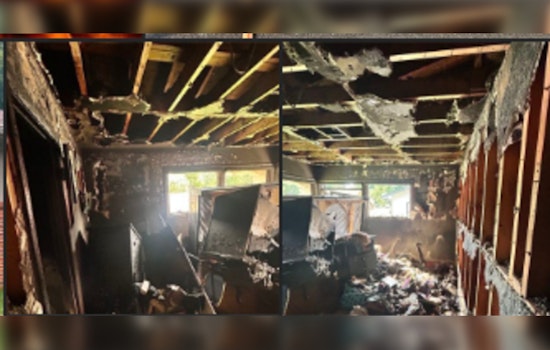 Murfreesboro Firefighters Heroically Rescue Cats, Family Displaced After Greenhill Street Blaze