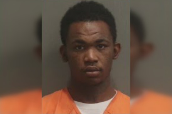 Nashville Man Arrested for Third Time in Theft Spree, Facing Multiple Charges Including Auto and Gun Theft