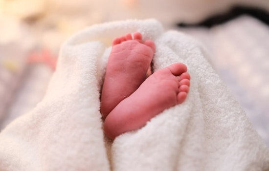 Newborn Tragedy in Houston's Jersey Village Highlights Challenges of Texas' Safe Haven Law