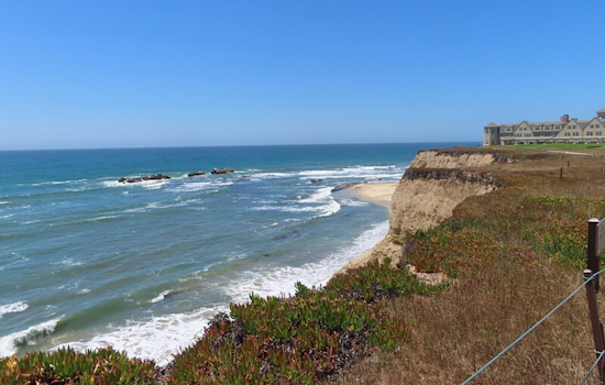 Oakland Teacher's Serene Encounter with Great White Shark Captured in Half Moon Bay Goes Viral