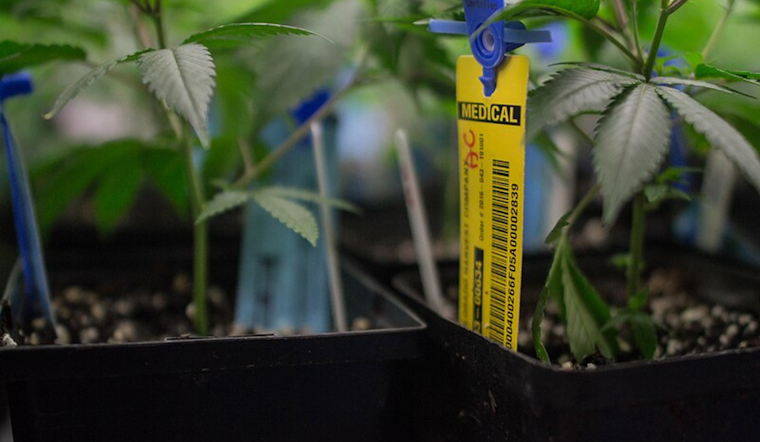 Ohio Ushers In New Era with Commencement of Recreational Marijuana Sales