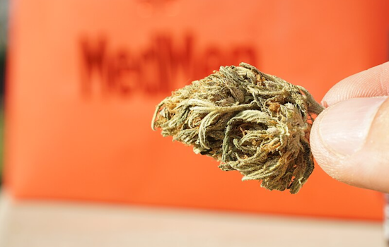 Ohio's Recreational Marijuana Sales Maintain Momentum, Surpassing $10 Million Weekly