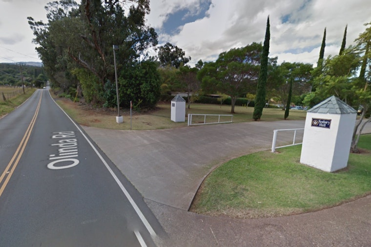 Olinda Road Blocked by Fallen Tree, Disrupts Traffic and Power Lines Near Seabury Hall