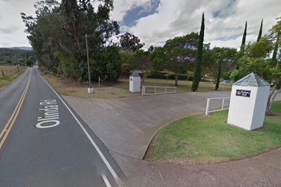 Olinda Road Blocked by Fallen Tree, Disrupts Traffic and Power Lines Near Seabury Hall