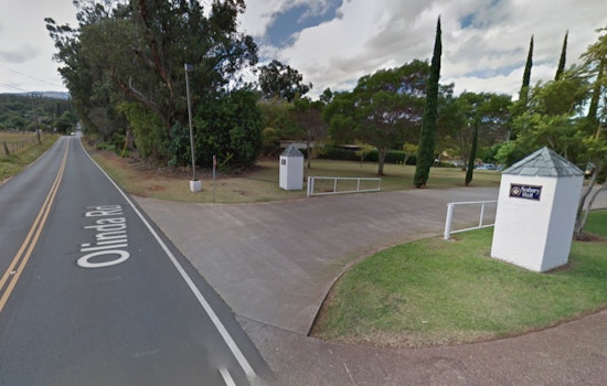Olinda Road Blocked by Fallen Tree, Disrupts Traffic and Power Lines Near Seabury Hall