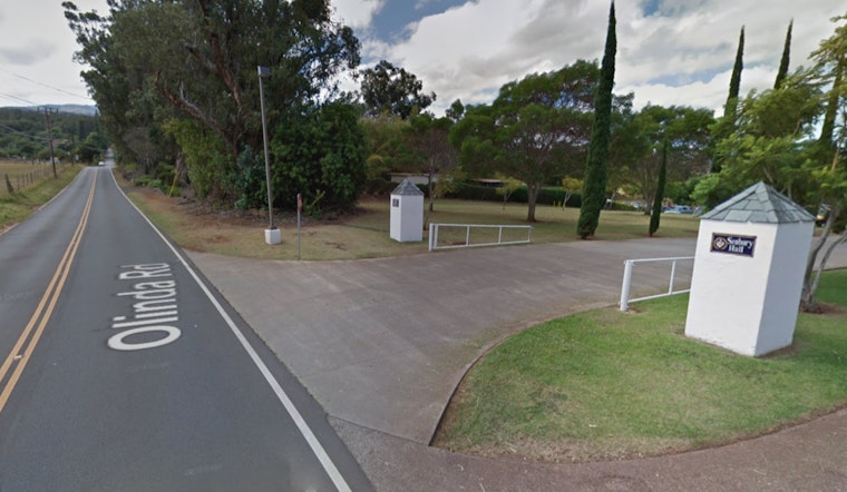 Olinda Road Blocked by Fallen Tree, Disrupts Traffic and Power Lines Near Seabury Hall