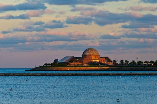 One Dead After Swimming Accident Near Chicago's Adler Planetarium Despite Warnings