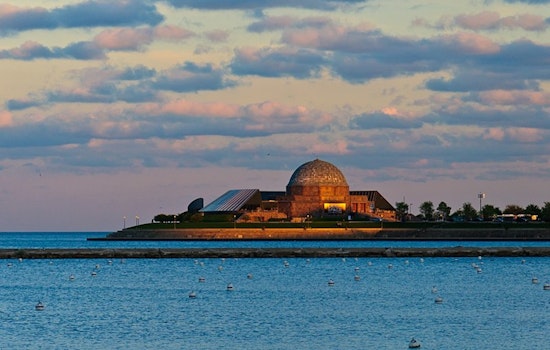 One Dead After Swimming Accident Near Chicago's Adler Planetarium Despite Warnings