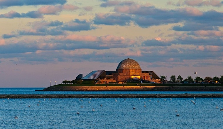 One Dead After Swimming Accident Near Chicago's Adler Planetarium Despite Warnings