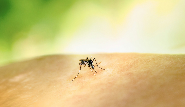 Orange County Ramps Up Mosquito Control Measures Amid Dengue and Oropouche Virus Concerns