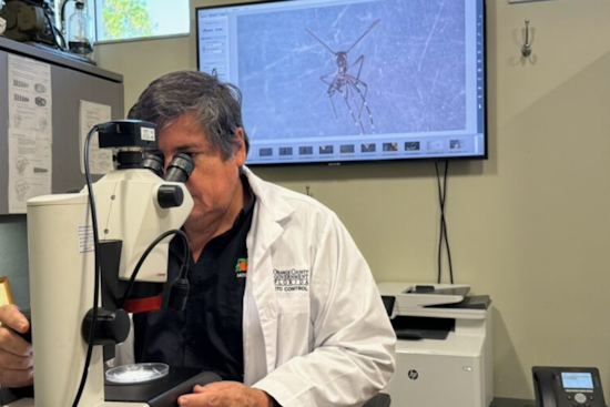 Orange County Steps Up Mosquito Control Efforts Amid Local Dengue Fever Cases