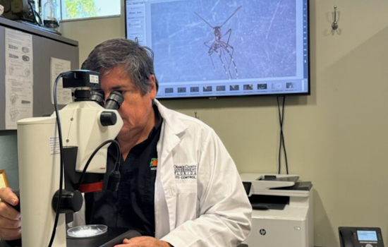 Orange County Steps Up Mosquito Control Efforts Amid Local Dengue Fever Cases