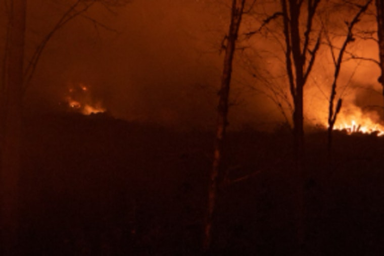 Oregon Extends SNAP Benefit Replacement Deadline for Wildfire-Affected Residents in Multiple Counties