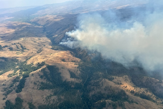 Oregon Governor Activates Emergency Powers as Town Gulch Fire Rages Near Richland