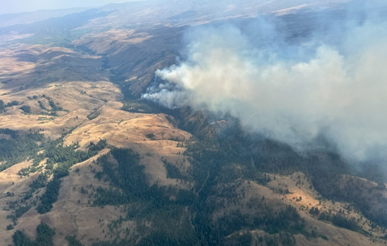 Oregon Governor Activates Emergency Powers as Town Gulch Fire Rages Near Richland