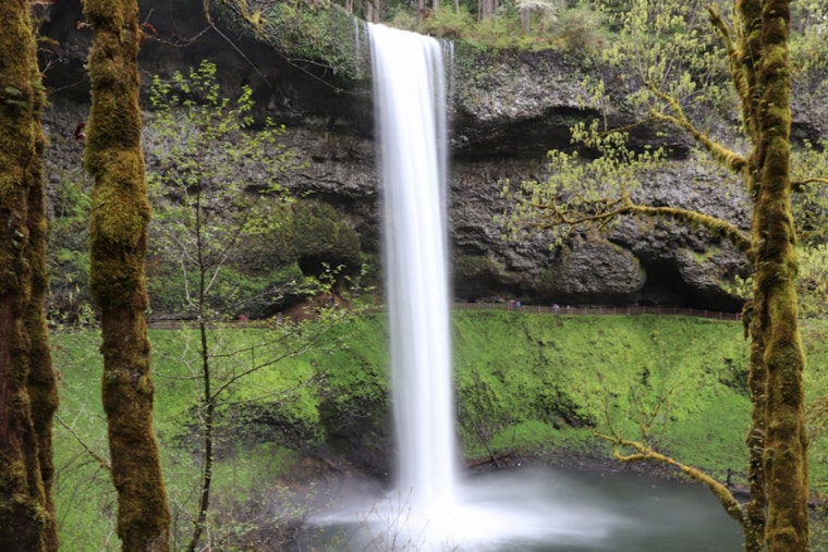 Oregon's Silver Falls State Park Seeks New Custodian for Food and Lodging Concessions