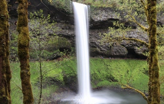 Oregon's Silver Falls State Park Seeks New Custodian for Food and Lodging Concessions