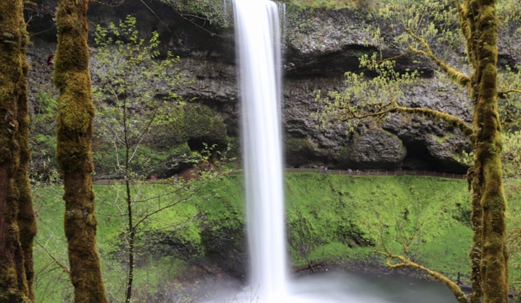 Oregon's Silver Falls State Park Seeks New Custodian for Food and Lodging Concessions